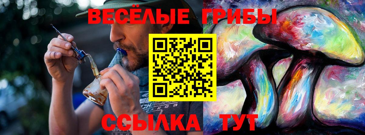 Галлюциногенные грибы Cubensis  Вход с VPN  Домодедово 