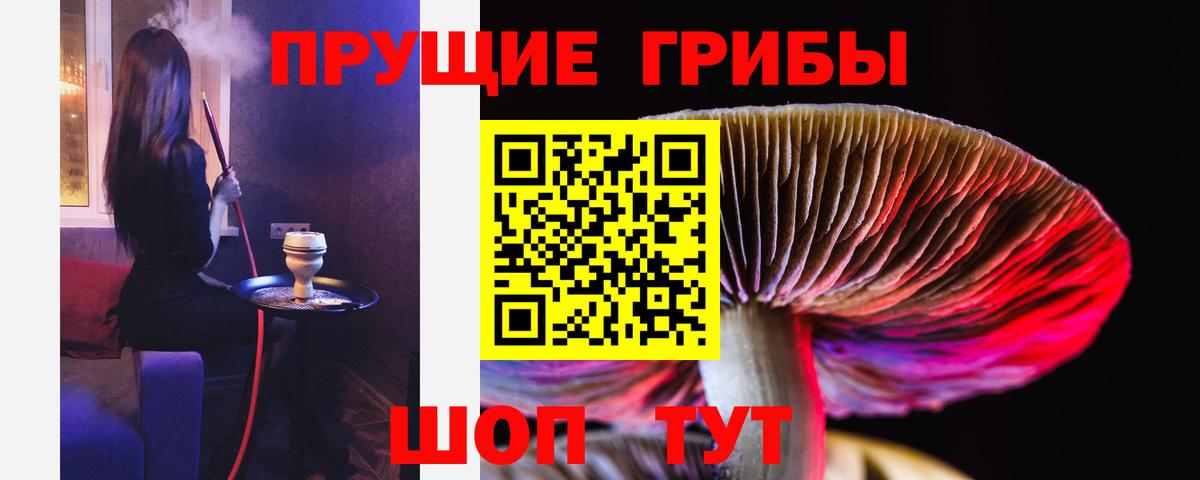 Псилоцибиновые грибы Psilocybe Домодедово